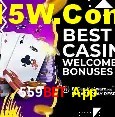 559Bet Login